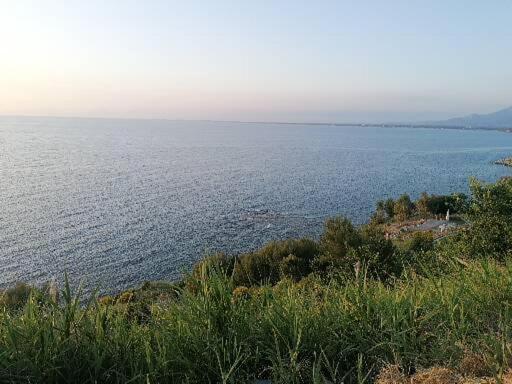 I Baronetti In Centro Bed & Breakfast Agropoli Exterior photo